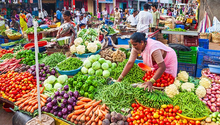 Centre Scales Up Support for Organic and Climate-Smart Farming: Focus on Small Farmers, Market Linkages