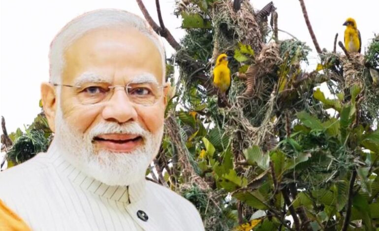 Sustainability Through Innovation: Kaziranga’s AI-Powered Bird Census Praised in PM Modi’s ‘Mann Ki Baat’