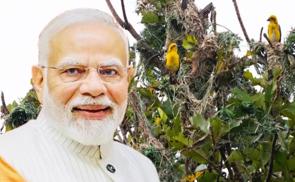 Sustainability Through Innovation: Kaziranga’s AI-Powered Bird Census Praised in PM Modi’s ‘Mann Ki Baat’