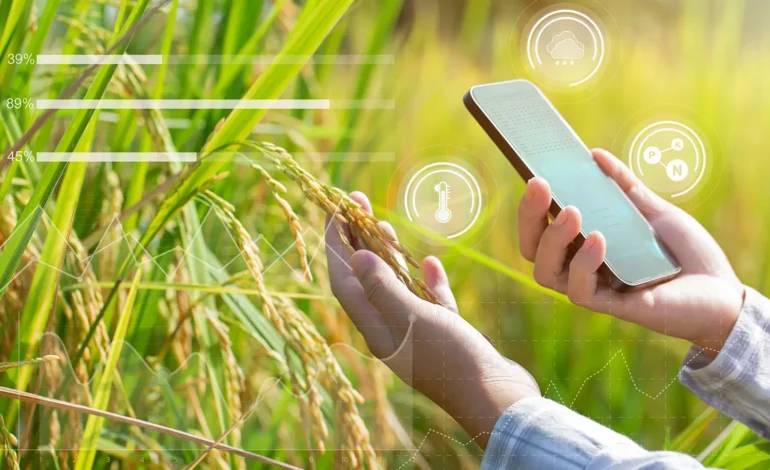 Data Collected Under Digital Agriculture Mission Used for Enhanced Farmer Services: Govt