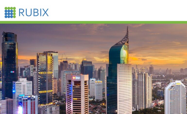 India Becomes Indonesia’s Third-Largest Export Destination in Q2 2025 amid Global Trade Realignment: Rubix Data Sciences