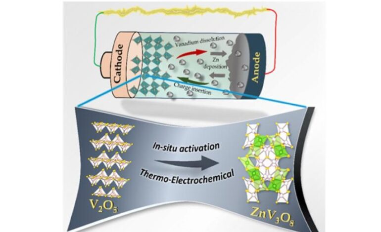 Indian scientists develop breakthrough cathode material for next-generation zinc-ion batteries
