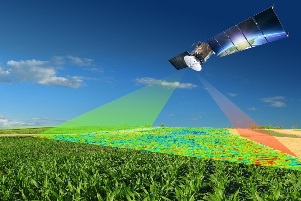 Satellite-Based Crop Monitoring Expanded Under FASAL Programme to Strengthen Pre-Harvest Forecasting: Centre