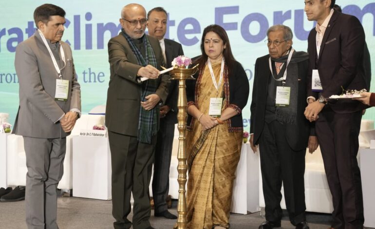 Climate Action Is Opportunity, Not Constraint: Vice-President