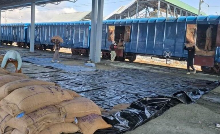All-weather rail link ensures reliable foodgrain supply to Kashmir Valley