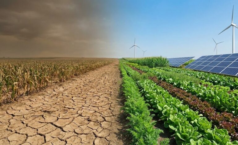 Smart agro-food systems take centre stage in government’s sustainability push, minister tells parliament