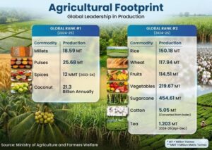 India Records 357.73 MT Foodgrain Output, Strengthens Global Agri Leadership