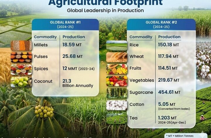 India Records 357.73 MT Foodgrain Output, Strengthens Global Agri Leadership