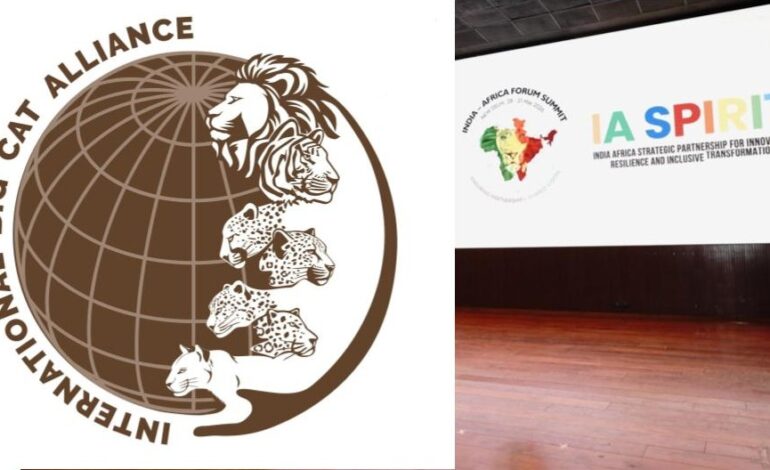 First International Big Cat Alliance Summit Postponed Following Rescheduling of India-Africa Forum Summit