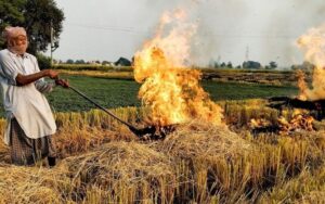 CAQM Reviews State Preparedness to Eliminate Stubble Burning Ahead of 2026 Paddy Season