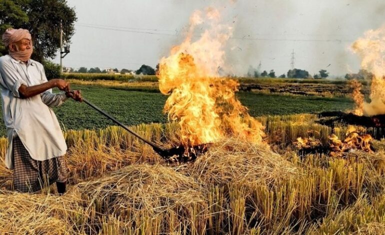 CAQM Reviews State Preparedness to Eliminate Stubble Burning Ahead of 2026 Paddy Season