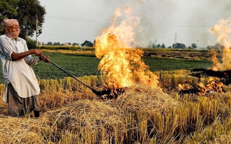 CAQM Reviews State Preparedness to Eliminate Stubble Burning Ahead of 2026 Paddy Season