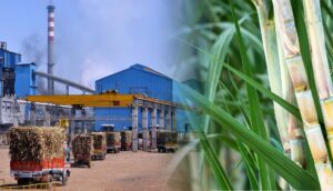 Government Pushes Circular Economy Model for Cooperative Sugar Sector