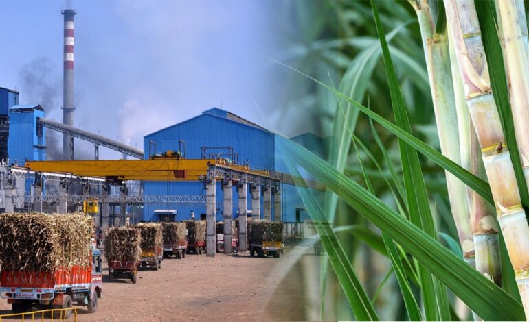 Government Pushes Circular Economy Model for Cooperative Sugar Sector