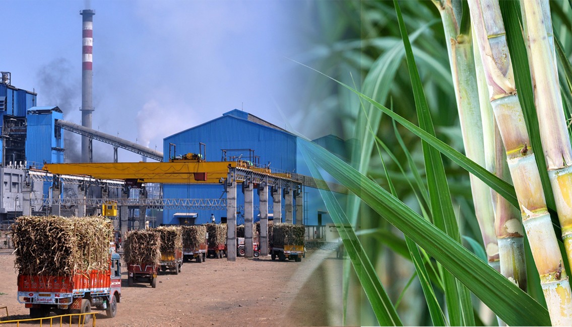 Government Pushes Circular Economy Model for Cooperative Sugar Sector
