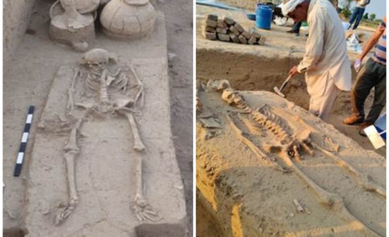 Rakhigarhi Human Remains Sent for Advanced Scientific Study, Opening New Window into Harappan Civilization