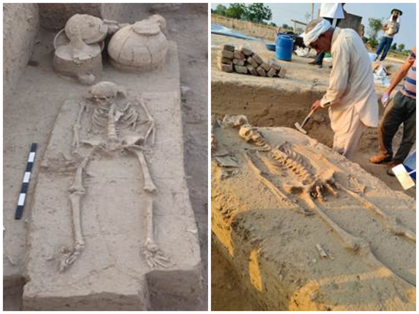 Rakhigarhi Human Remains Sent for Advanced Scientific Study, Opening New Window into Harappan Civilization