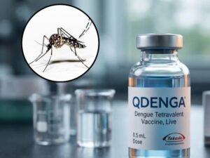 India approves first dengue vaccine, marks major milestone in disease prevention