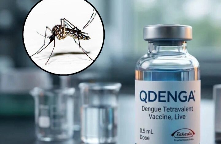 India approves first dengue vaccine, marks major milestone in disease prevention