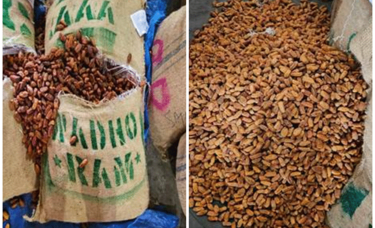 DRI seizes over 362 MT Pakistan-origin dry dates in crackdown under ‘Operation Deep Manifest’