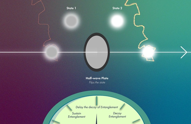 Scientists find a ‘single flip’ to delay or prevent quantum entanglement loss