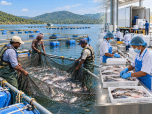 Bhopal fisheries conclave to focus on investment, processing and exports