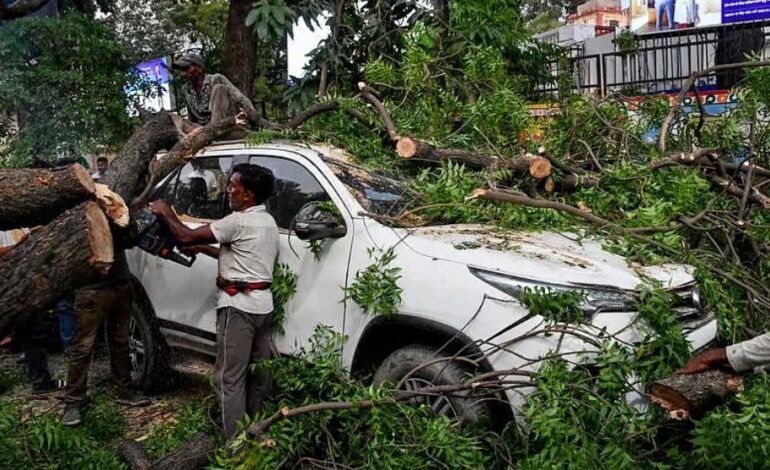 Cyclone Arnab highlights home and vehicle insurance gaps: Policybazaar